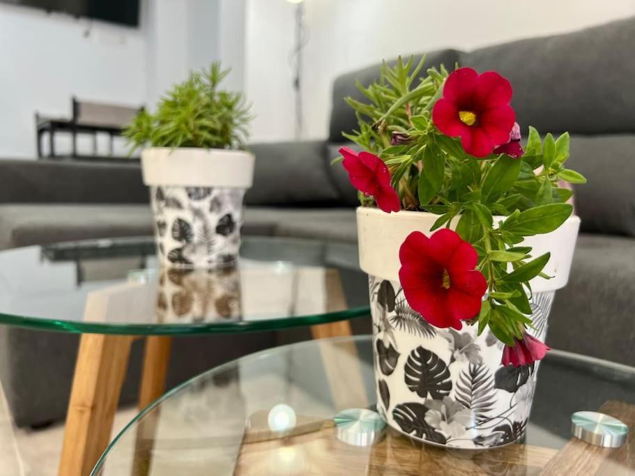 Appartement Acogedor En